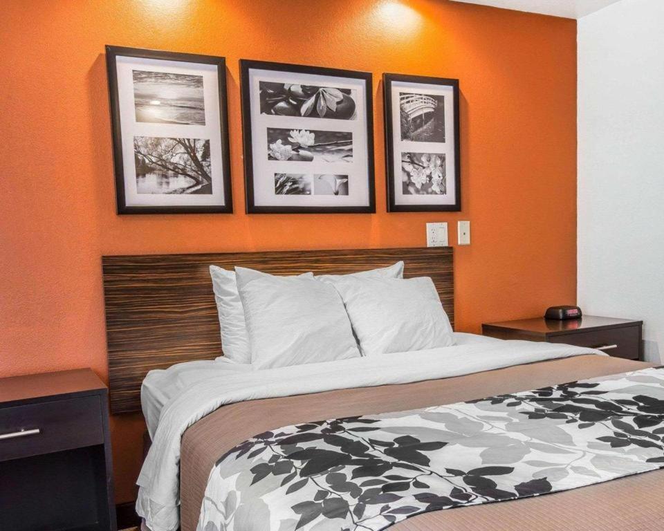Sleep Inn Bessemer Helena Екстериор снимка