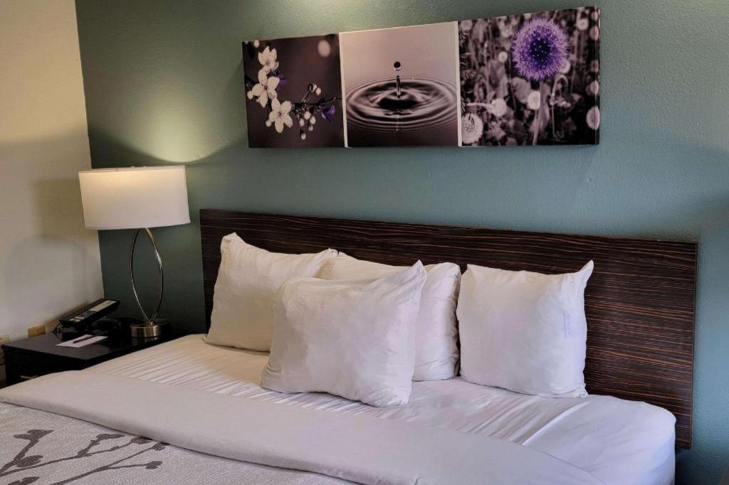 Sleep Inn Bessemer Helena Екстериор снимка